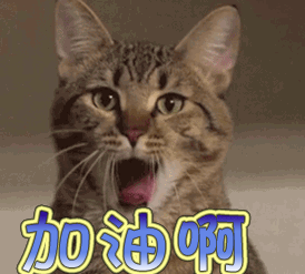 防疫家居清洁指南 | 专业设计助力安心生活-6