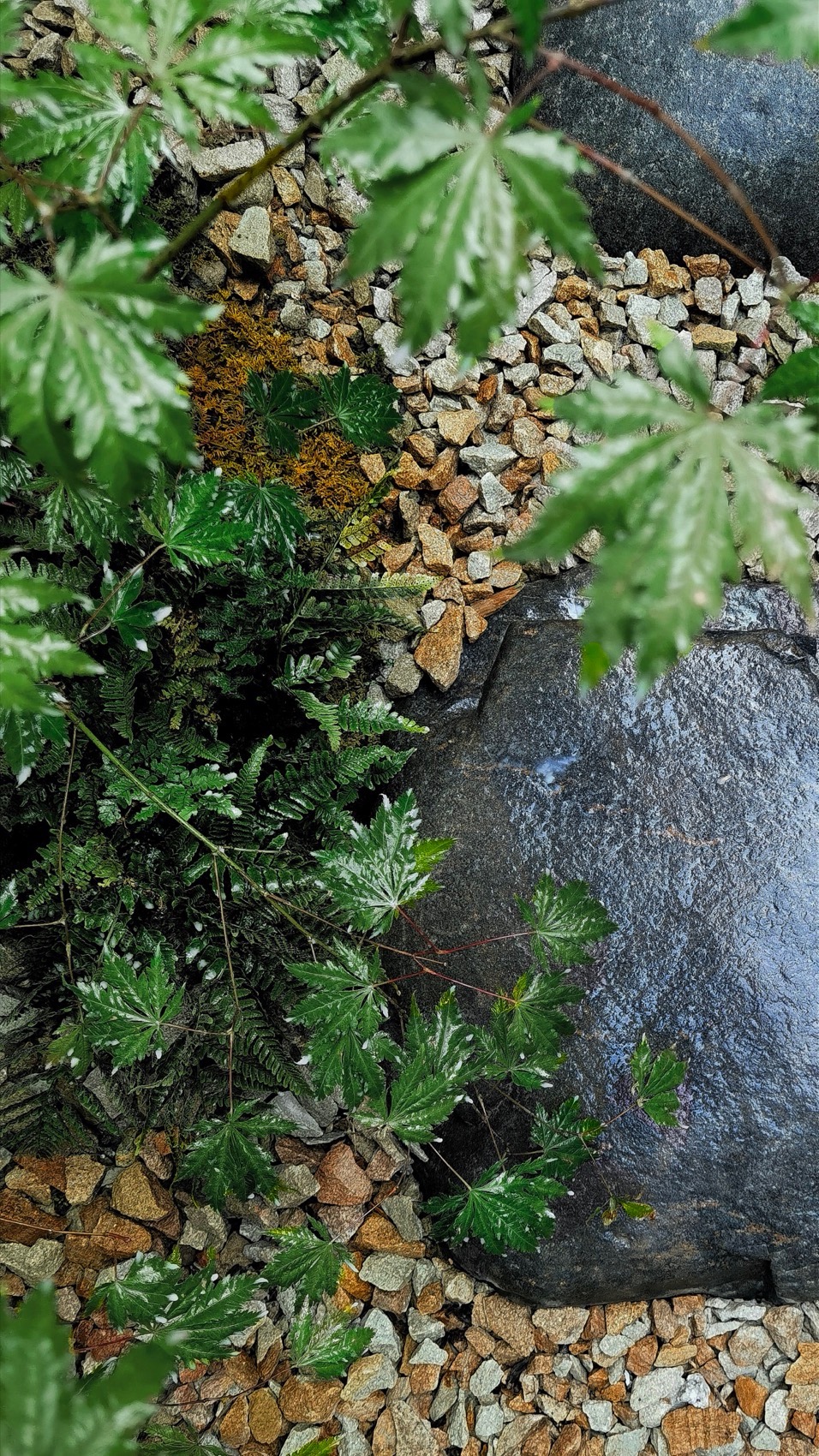 上海桃花源私庭营造丨中国上海丨墨刻丨無言斋造园-84