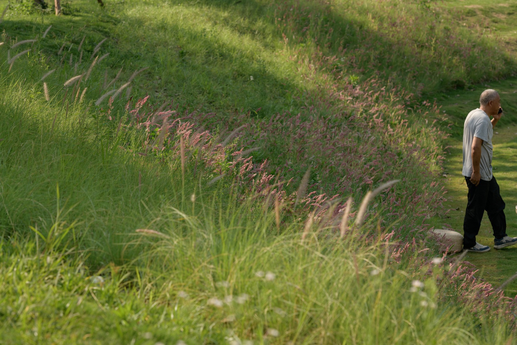 成都趣野公园（屋头公园）丨中国成都丨大小景观-217