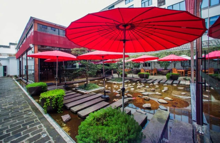 不期而遇的远方 | 青松掩映 茶苑芬芳-7