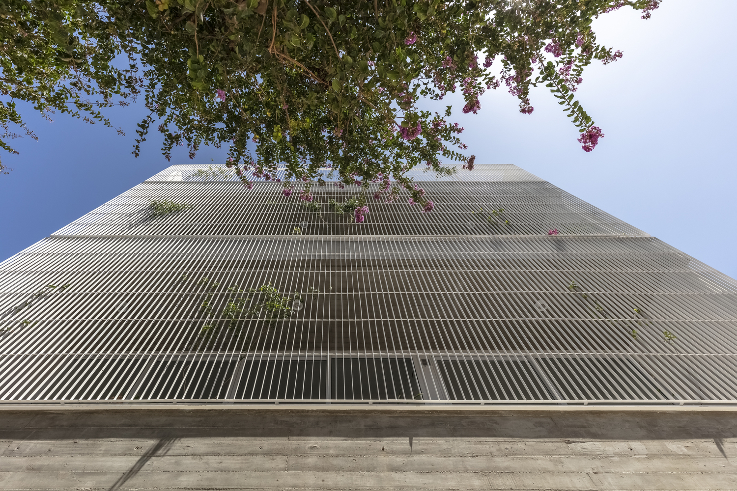 阿根廷某公寓楼项目（未明确具体名称）丨Arqtipo,Natalia Rapisarda-1