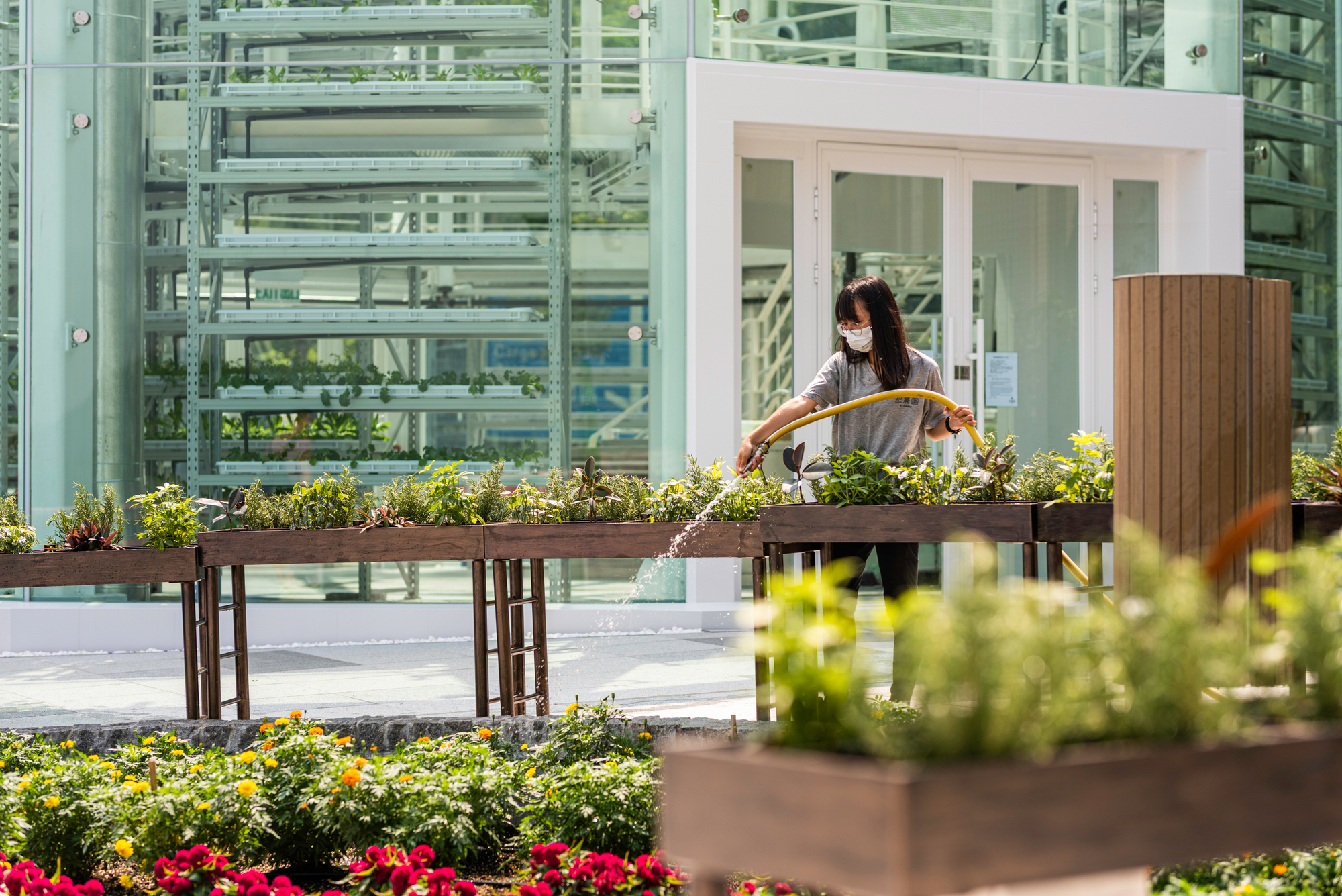 KFarm · 结合科技与自然的城市农场设计丨中国香港-13