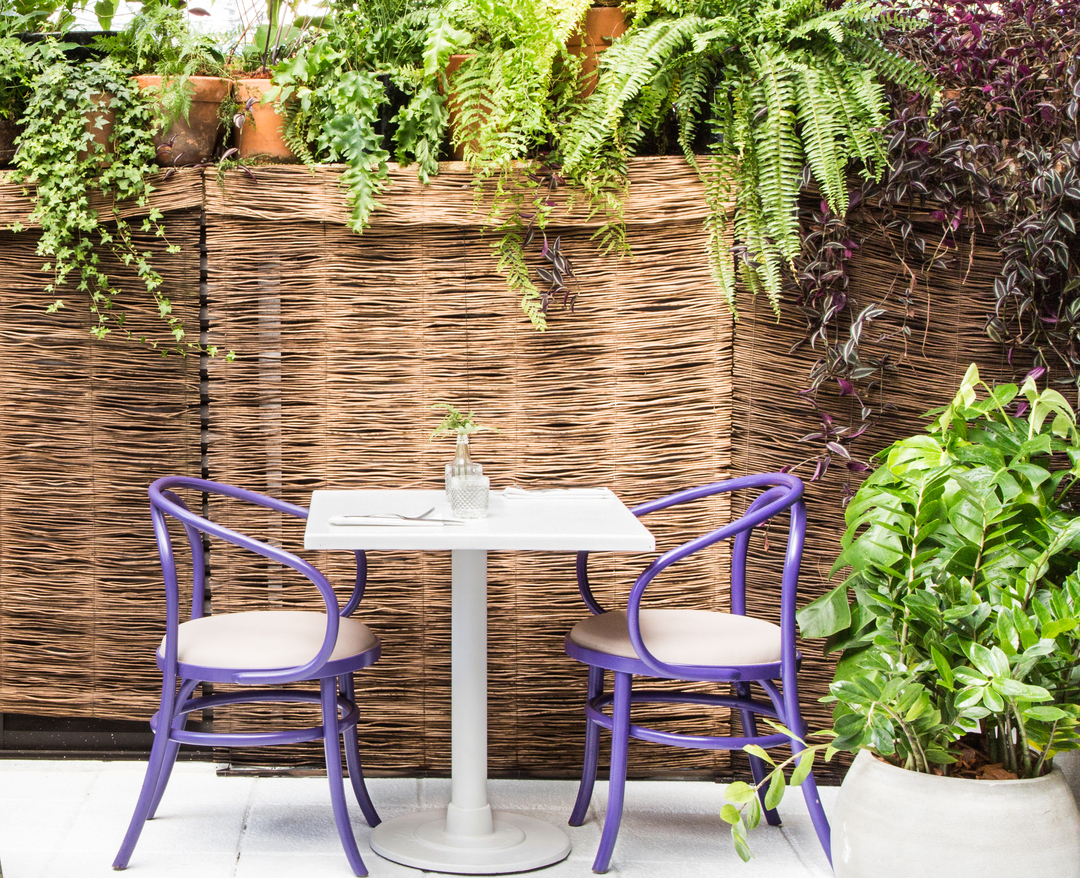 RESTAURANTE FIGO _ SP Consuelo Jorge-5