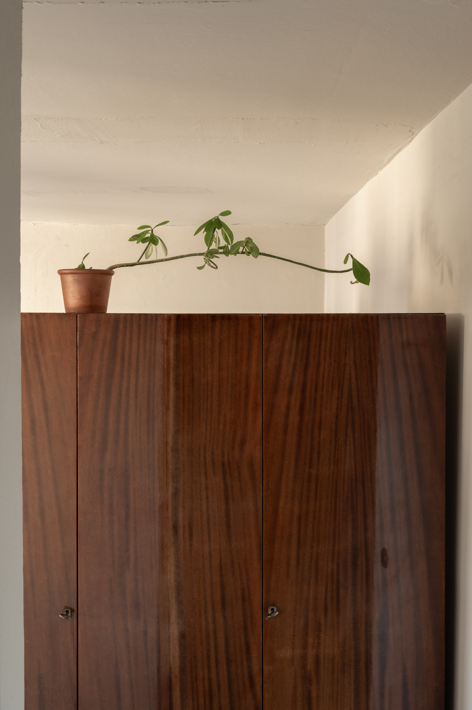 若ZOZULKA为特定人名、地名或品牌名等专有名词，通常可直接音译为佐祖尔卡  丨乌克兰利沃夫丨Iryna Bilohan-41