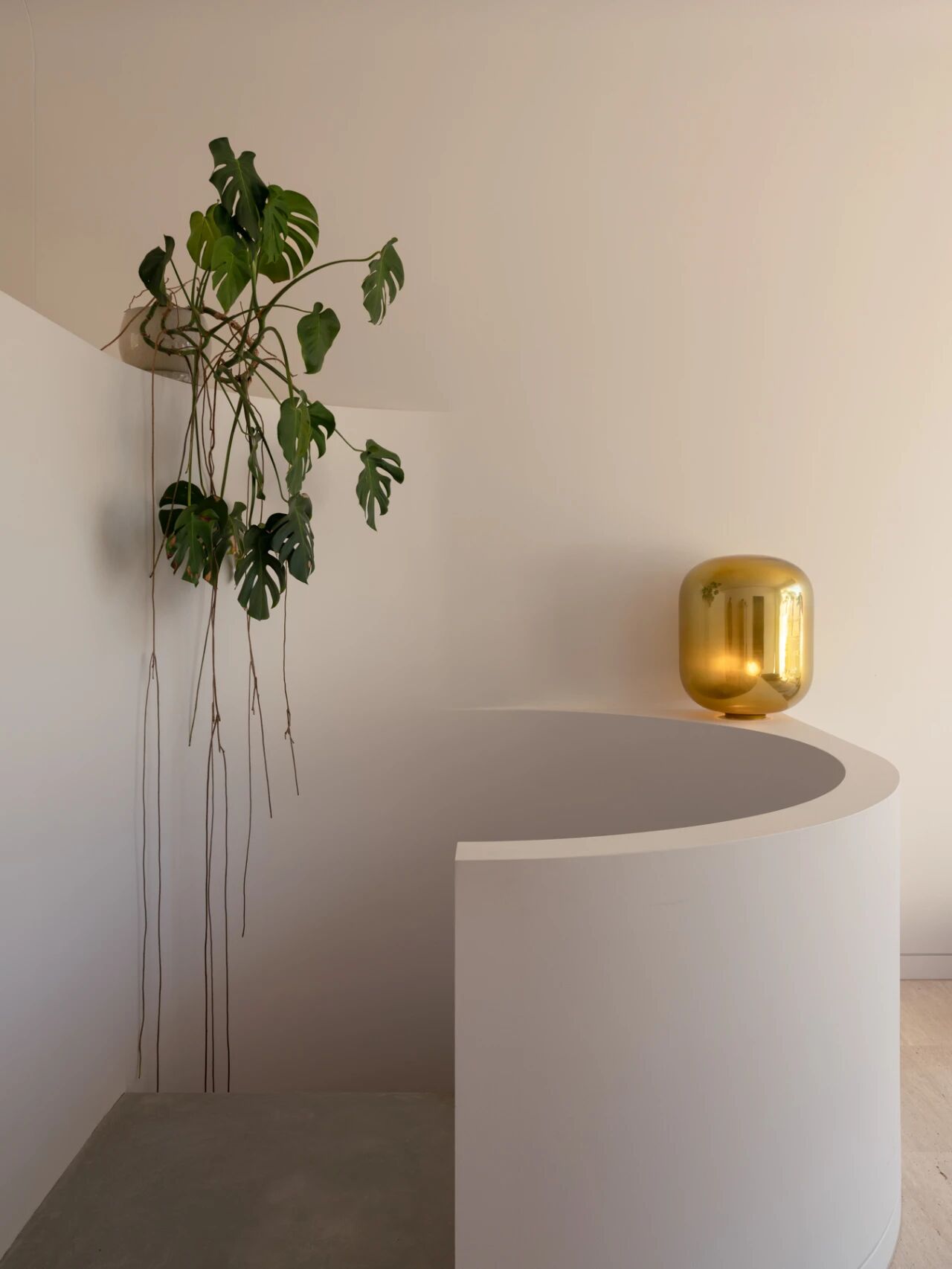 适应性改造的垂直玻璃屋（Laneway Glass House）丨澳大利亚悉尼丨Brad Swartz Architects-14