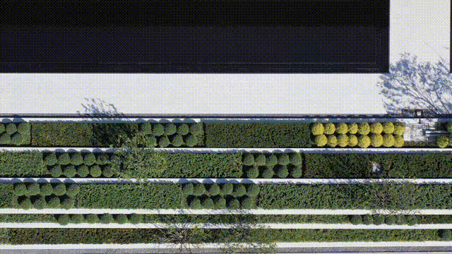 萧澜隐翠轩光影生活馆丨中国杭州丨上海会筑景观设计有限公司-18