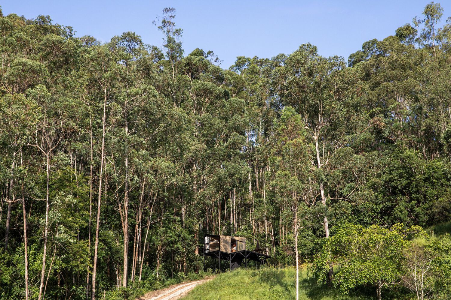 巴西圣坛 Ninho 小屋丨自然城市-16