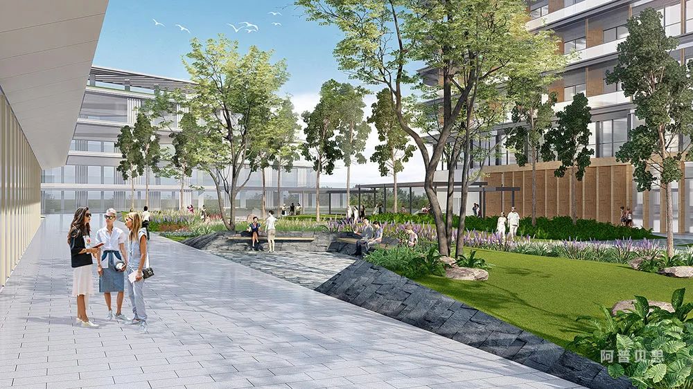 长沙爱尔国际眼健康科技产业园景观设计丨中国长沙丨阿普贝思-37