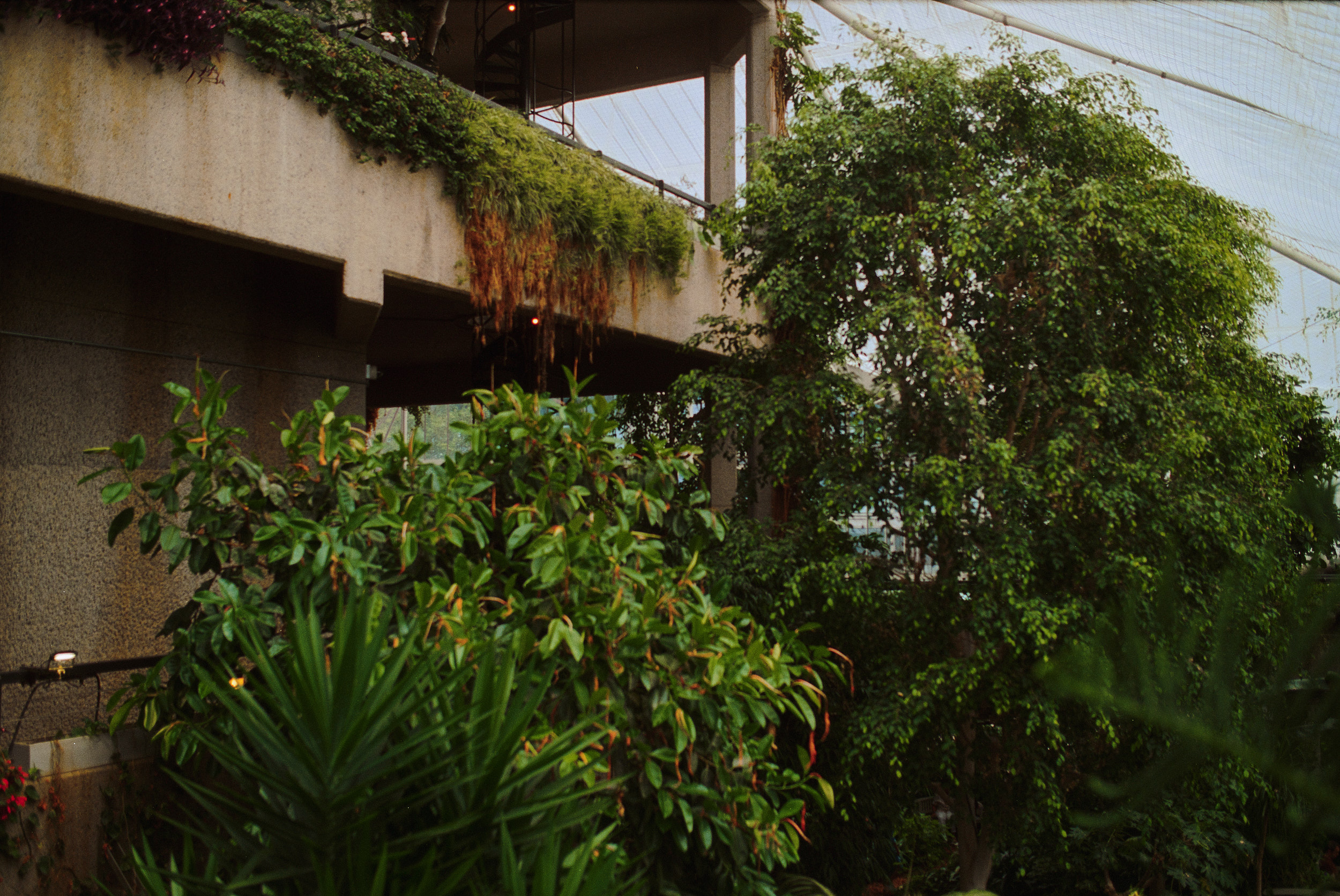 巴比肯温室丨英国伦敦-39