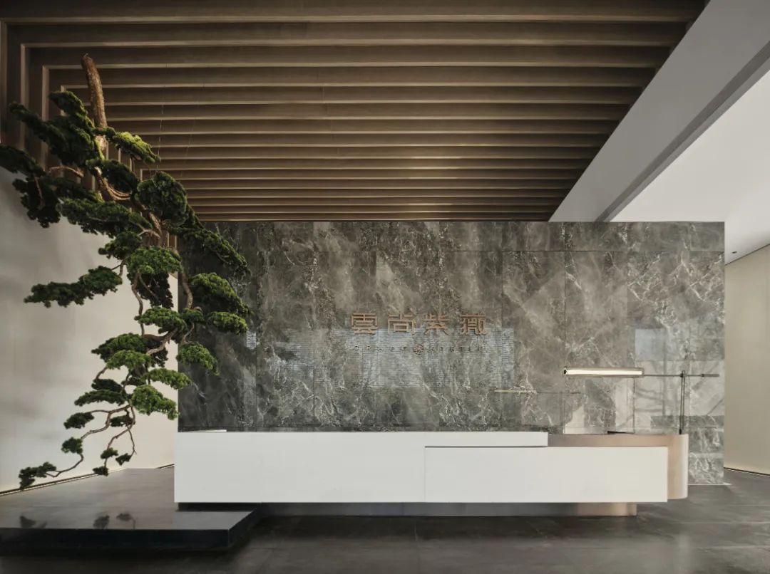 云尚紫薇府丨中国南京丨上海飞视设计-2