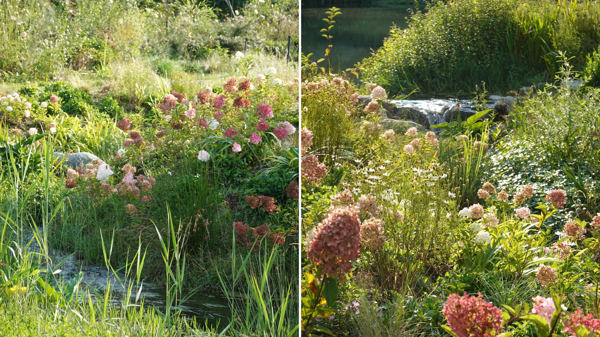 大理山下花园丨中国大理丨上海叙野景观设计有限公司-20