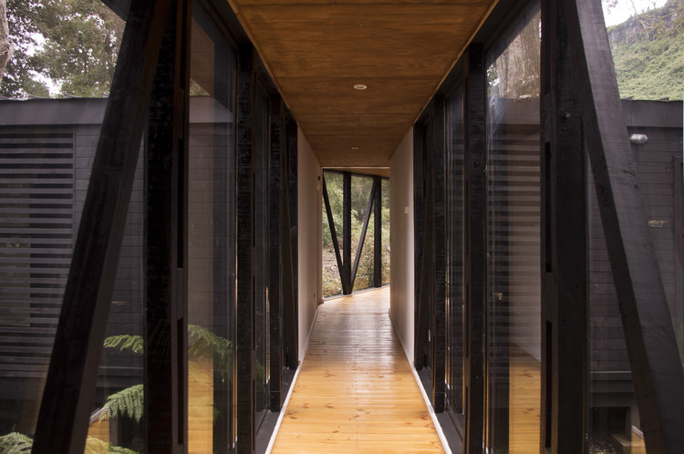 智利森林中的“Corridor House”-17