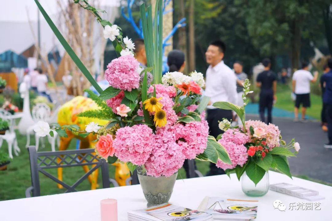 乐梵园艺打造成都花木博览会快闪花园,惊艳全场-92