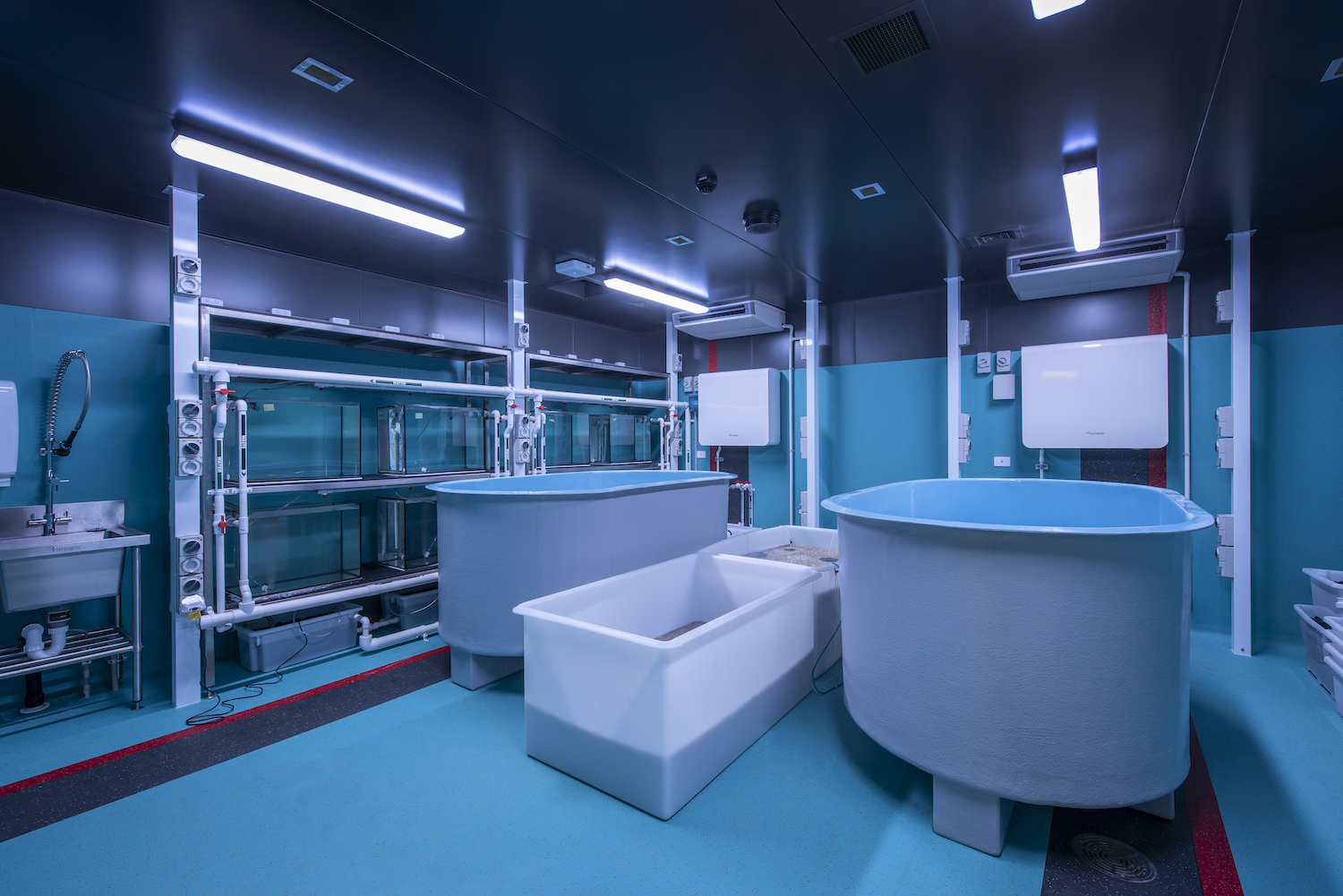 Flinders University Biodiversity Facility | H2o Architects-18