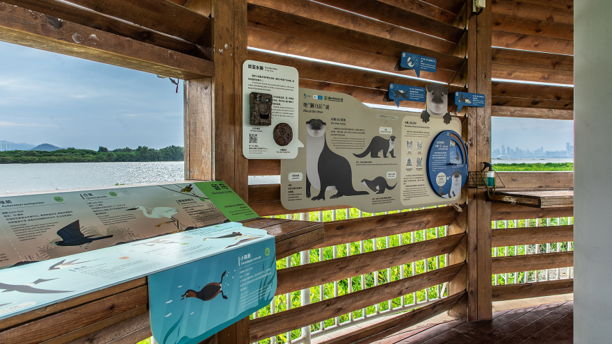 深圳红树林生态公园户外科普互动导视设计丨中国深圳丨共生领域(北京)文化传媒有限公司-48