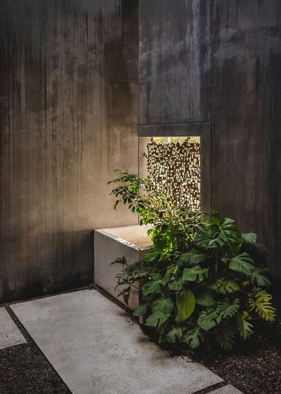 新作｜House of Ashes TACO taller de arquitectura contextual  2026  墨西哥-14