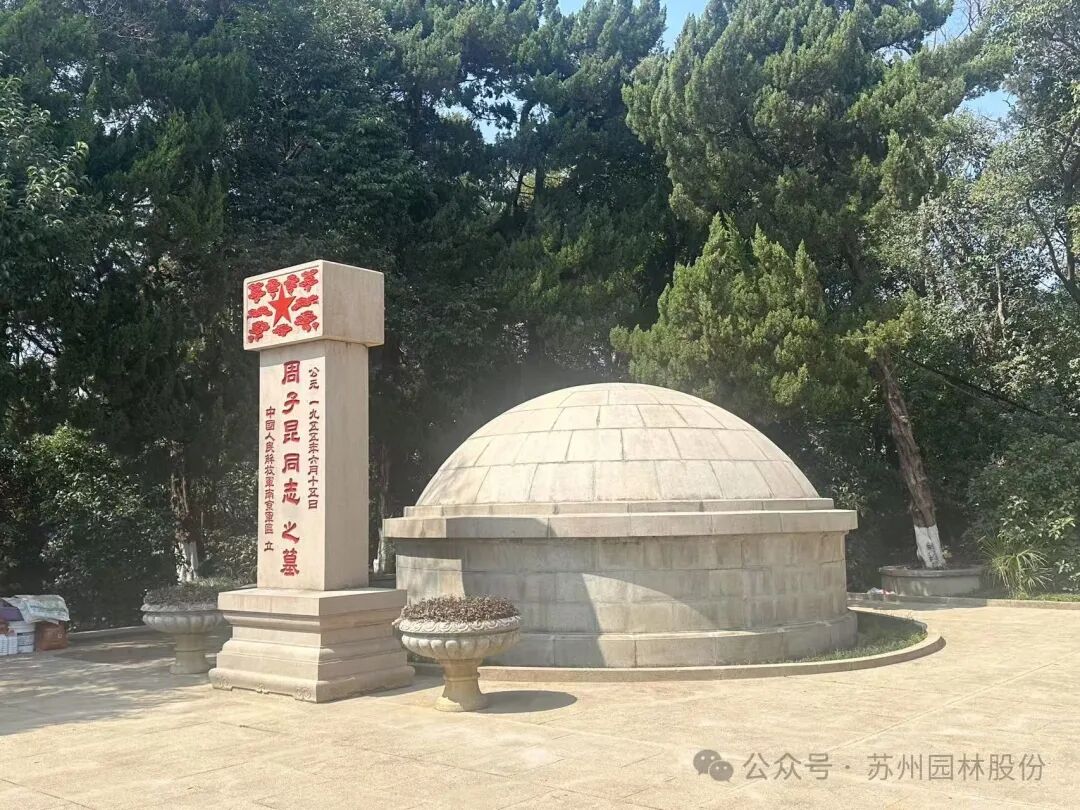 英魂长驻，青山焕新——园林股份修缮皖南事变三烈士墓-28