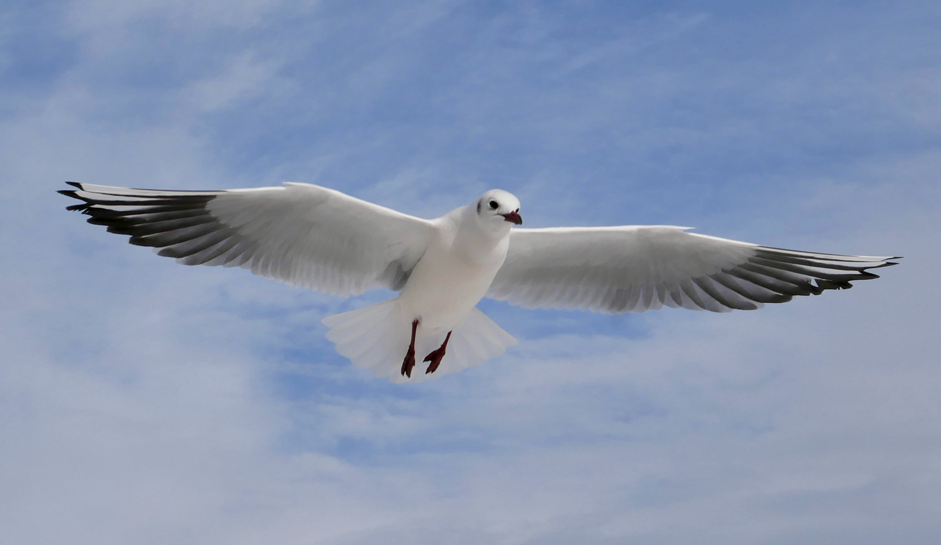 无明确体现丨无相关信息-7