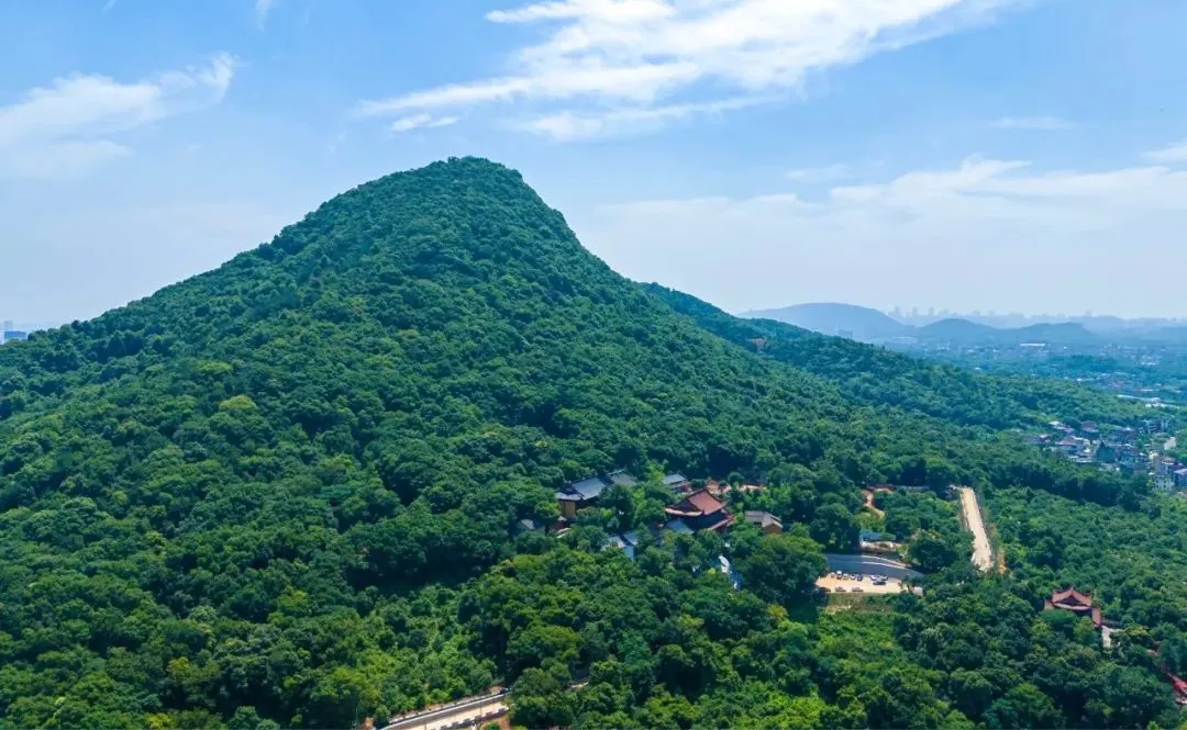 【一线写真】超山之上裁剪匠心，中建八局建设者重塑“观梅金名片”-21