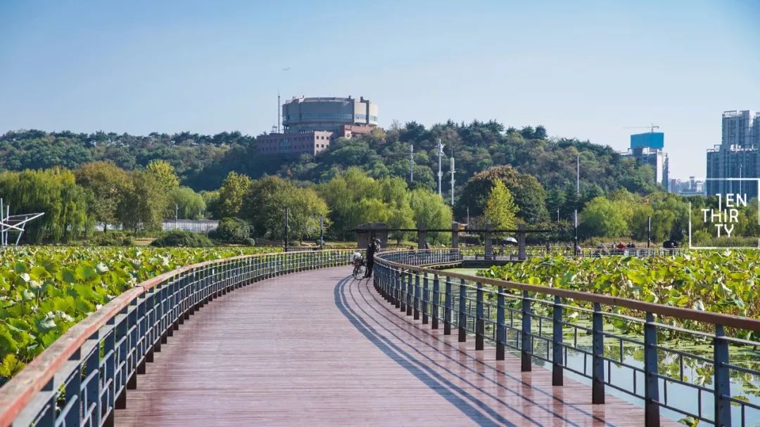 盘龙城遗址博物院新馆 | 现代演绎下的历史瑰宝-46