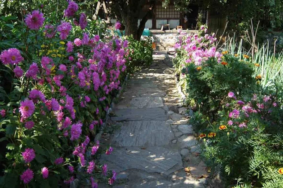 郊区“同居式”养老生活 | 自由、快乐、充实-13