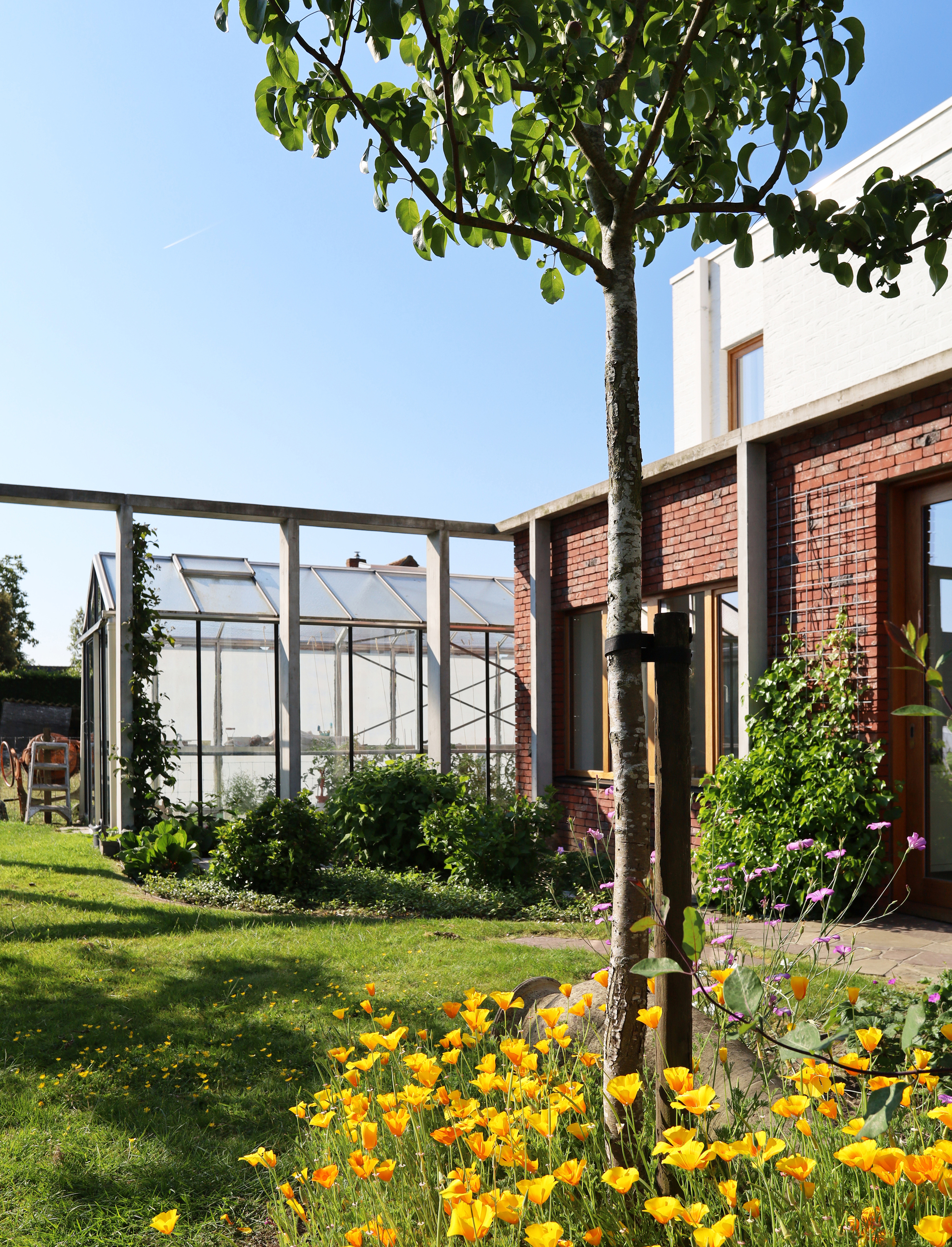 保罗和莫妮克之家丨比利时丨Atelier Vens Vanbelle-9