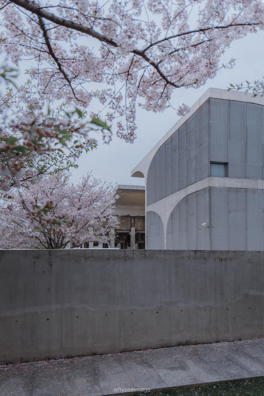 樱花+龙美术馆丨中国上海丨大舍建筑设计工作室-85