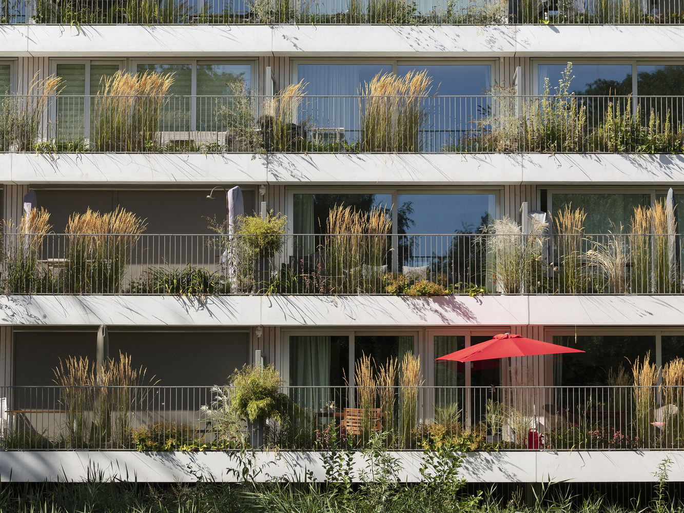 阿姆斯特丹绿色阶梯住宅 | Klencke NL Architects-92