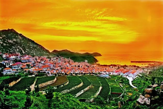 她在青岛建了一座有故事的民宿，只为让这座喧嚣的城市有一处安静角落-41