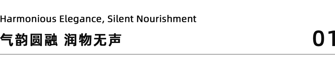 海门长江印SACUCCI案例-3