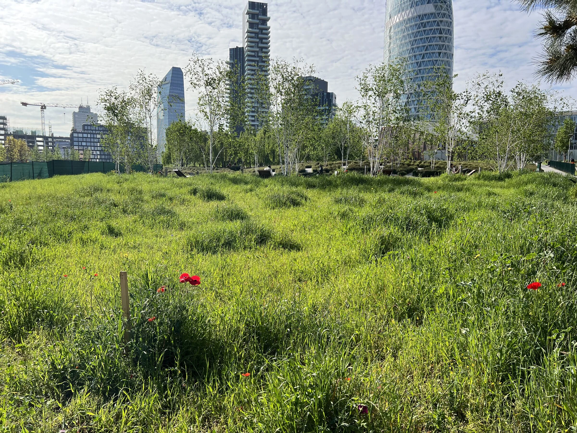 树木图书馆公园丨意大利米兰-14