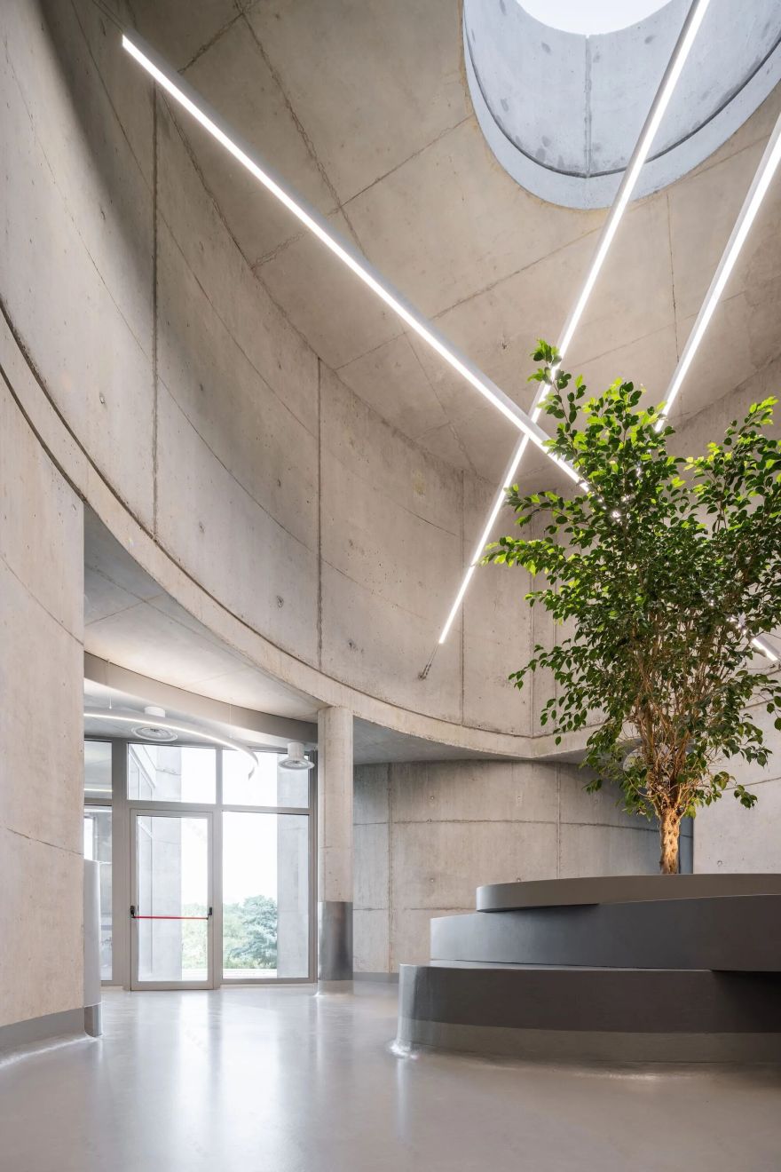 地拉那兽医院丨阿尔巴尼亚地拉那丨瑞士 Davide Macullo 建筑事务所-14