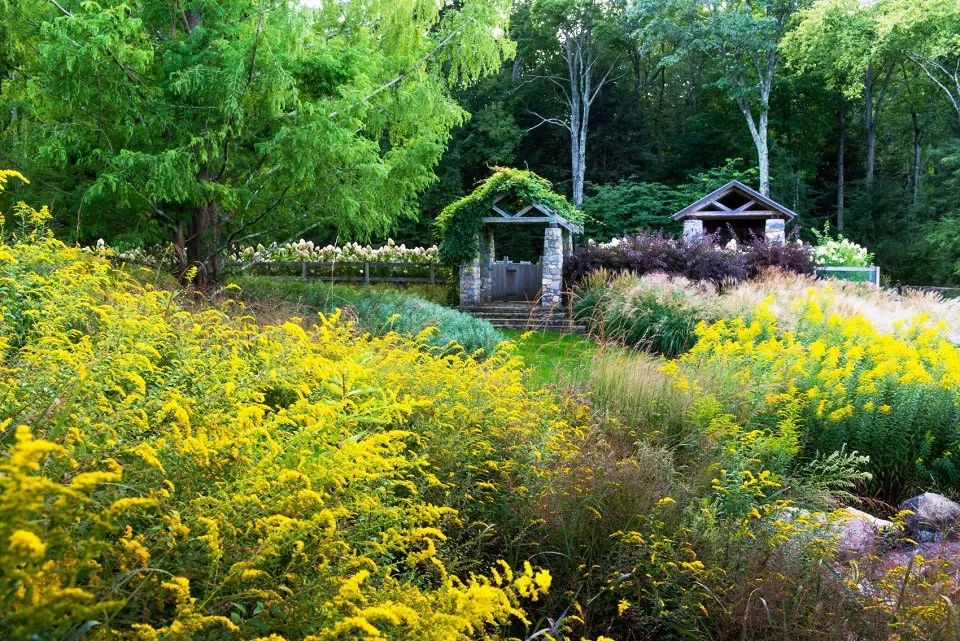 四月花海 | 迪拜奇迹花园的植栽设计-200