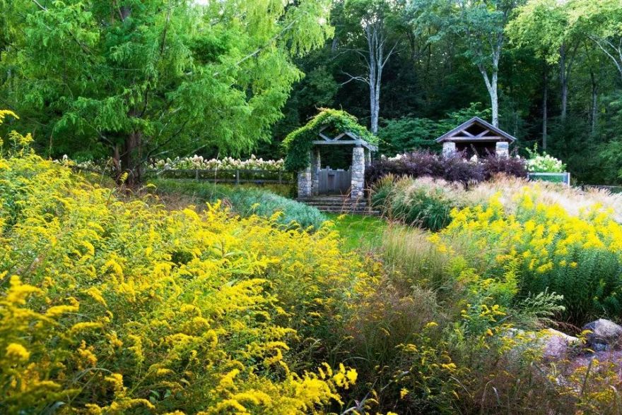 四月花海 | 迪拜奇迹花园的植栽设计-200