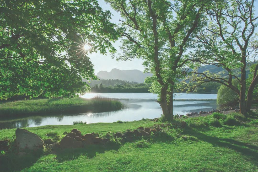 香港九龙观塘「安峯」丨中国香港丨刘荣广伍振民建筑师有限公司-17