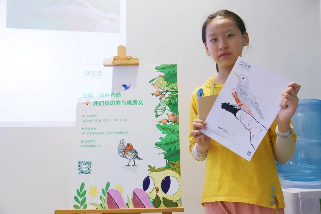 茏腾·探秘自然·鸟类涂鸦之旅-28