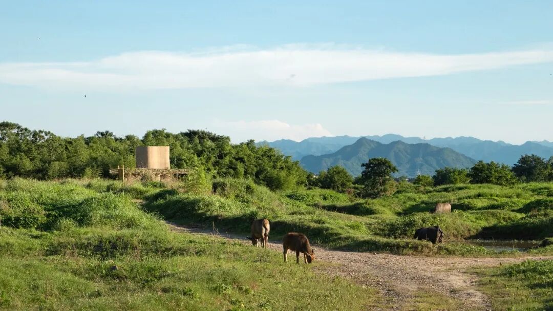 湿地洞窟配套驿站丨中国衢州丨Studio 10-23