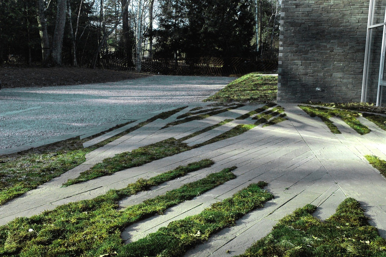 Farrar Pond 森林住所景观丨意大利马萨-24