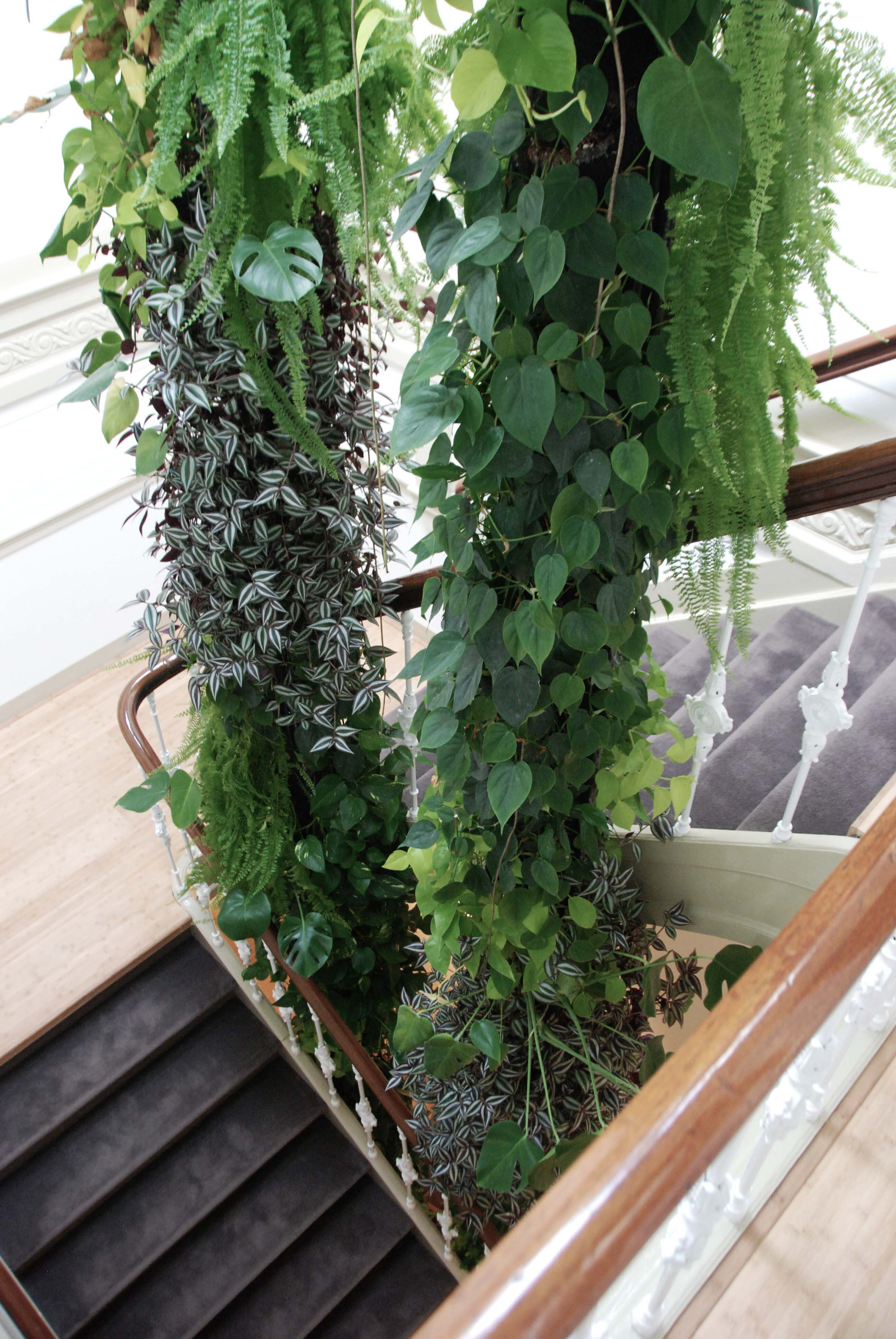 绿意盎然的游戏中心-5