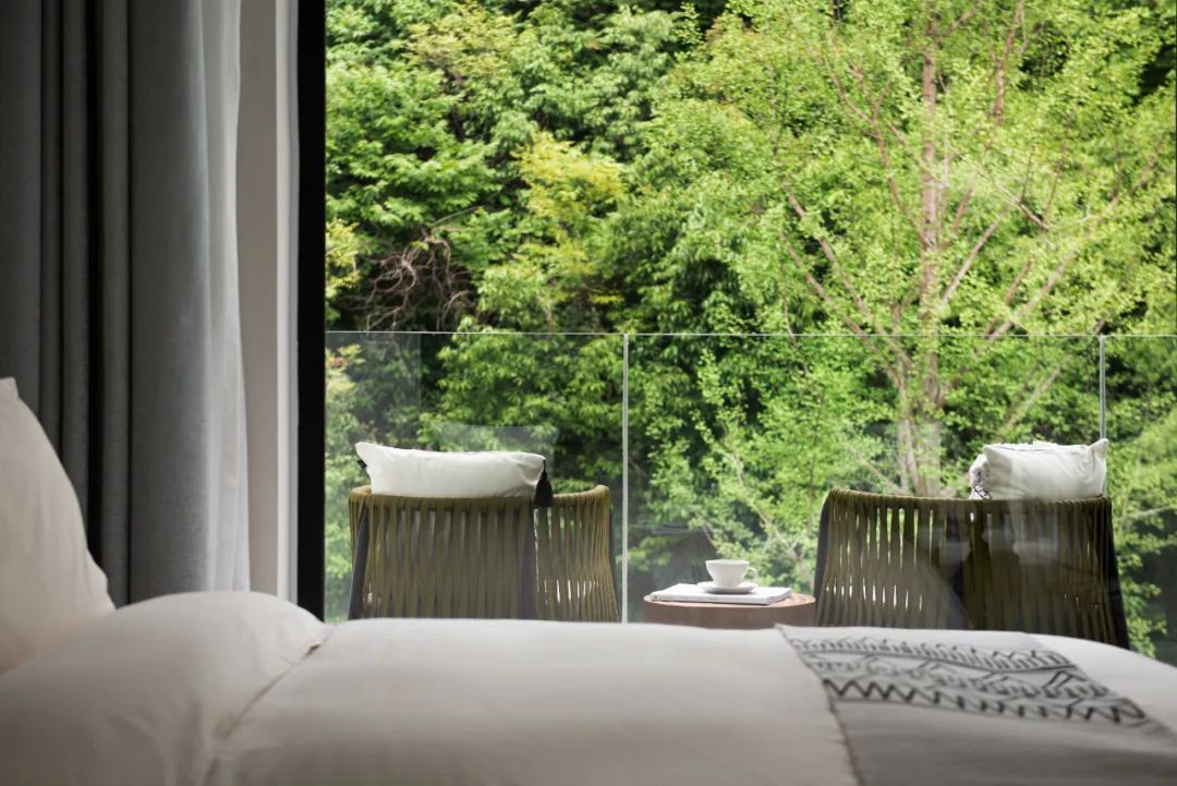 莫干山秘境杉林,尽享自然之美-102