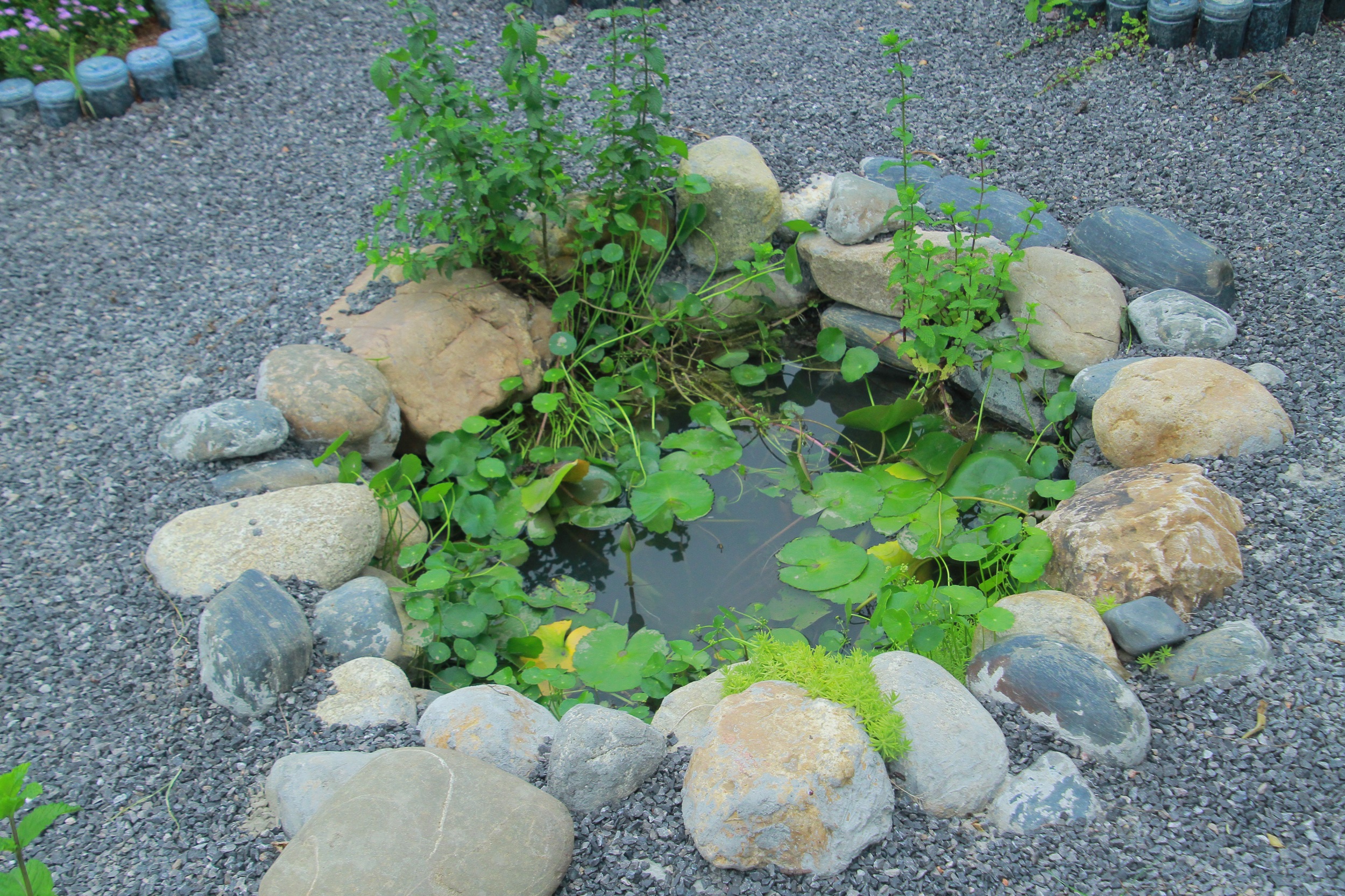 武汉脉动生态花园：一座由工厂废弃物建成的花园丨中国武汉丨盖娅朴门设计-23