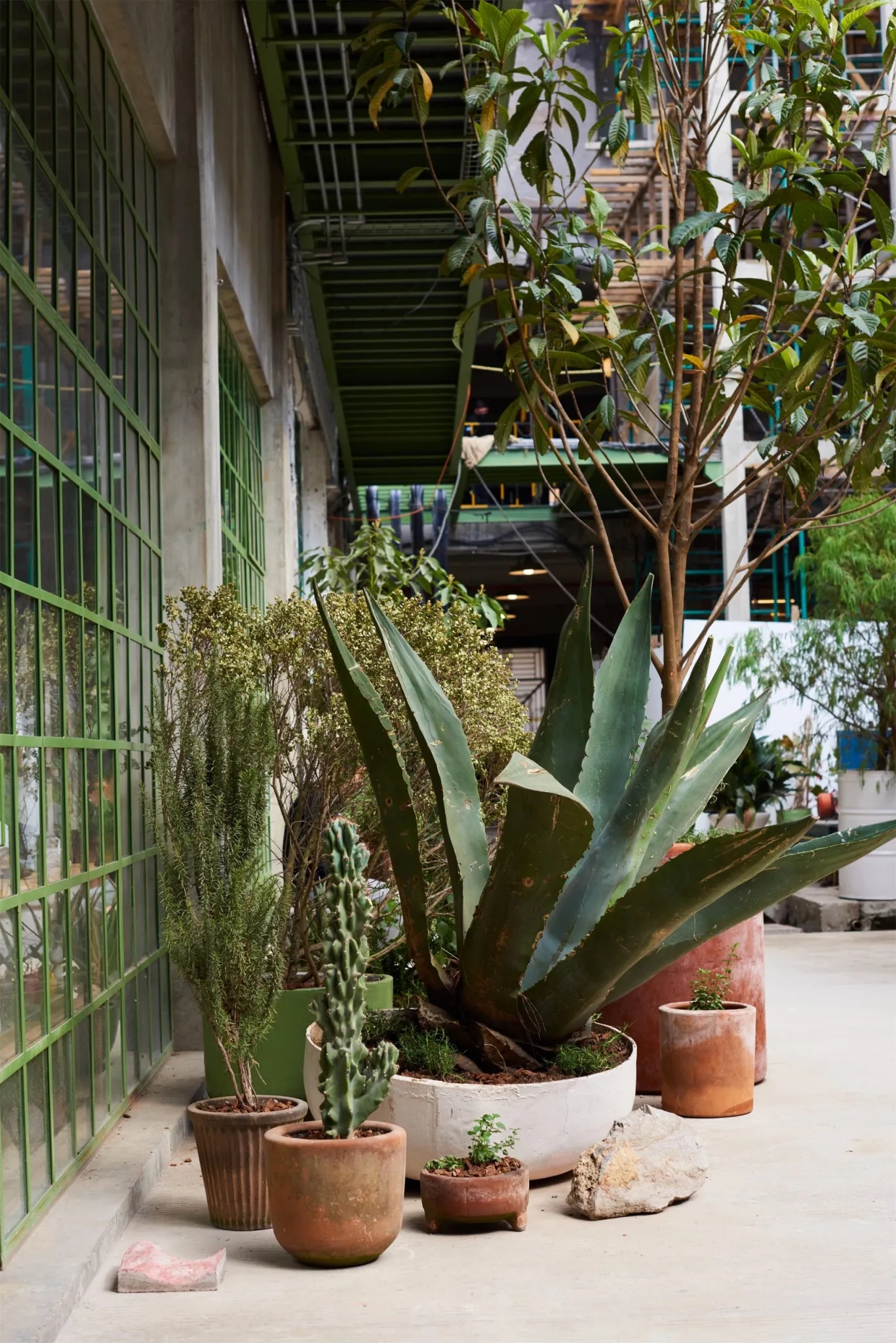 墨西哥城市公共景观-12