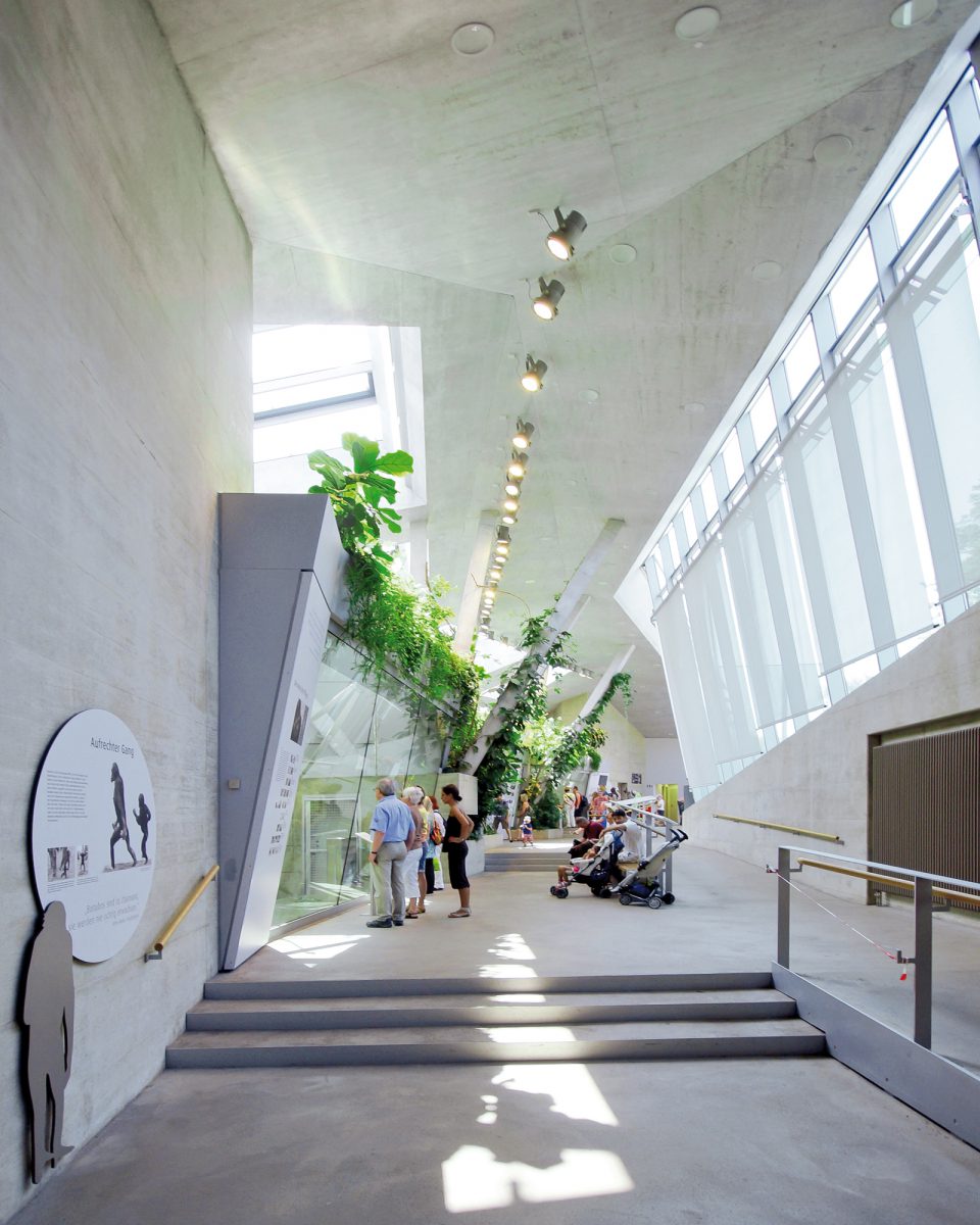 Menschenaffenhaus Wilhelma Stuttgart-6