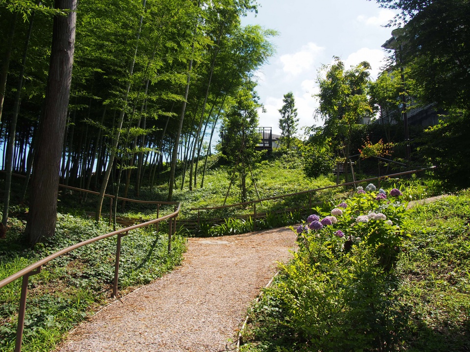 日本横滨南本宿第三公园农园设计丨株式会社户田芳树风景计画-34