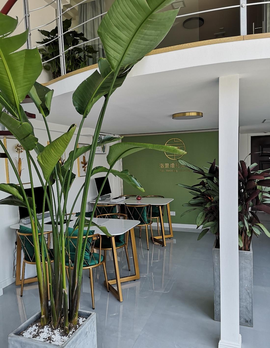 
婚礼策划工作室 -6