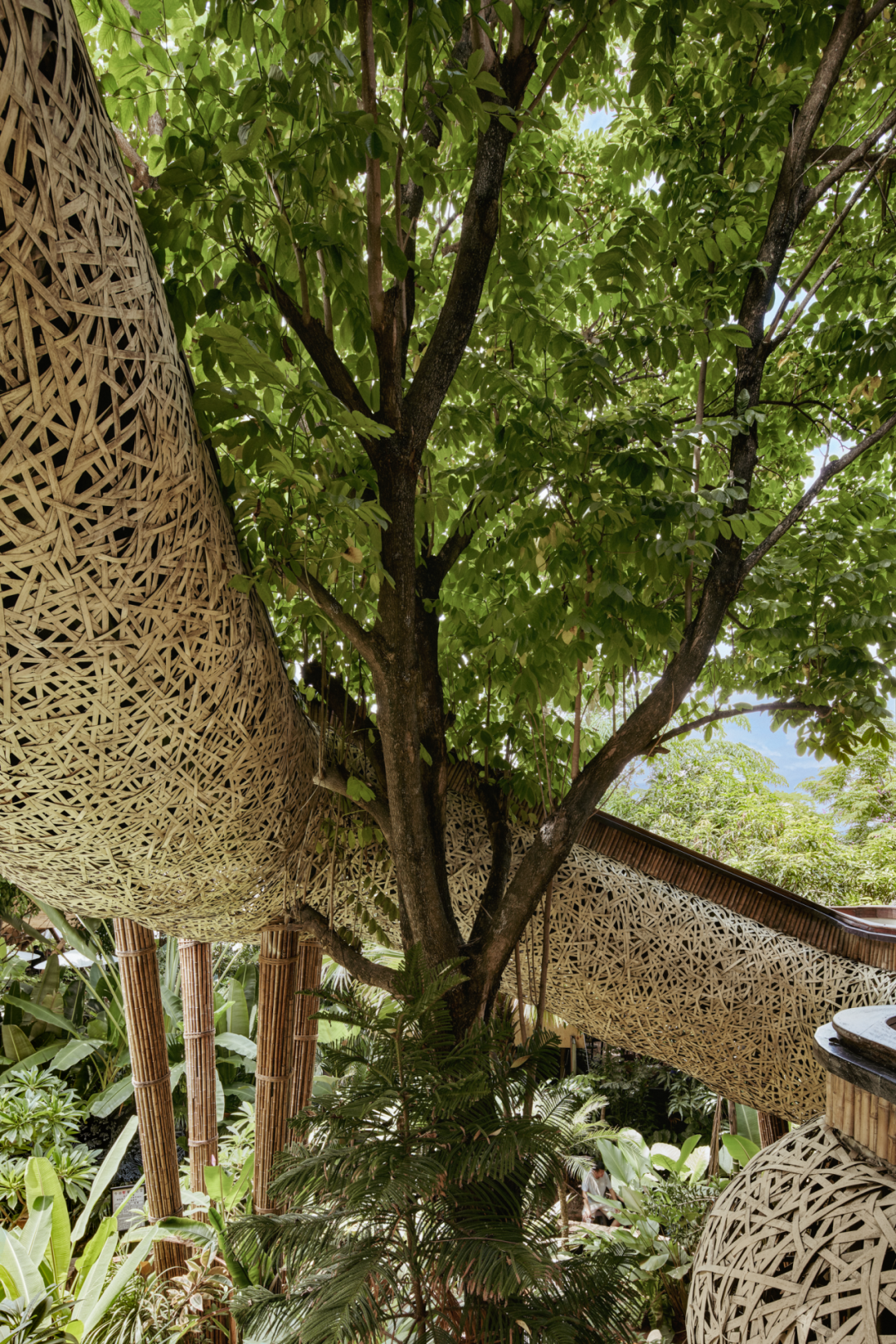 春武里丨中国西双版纳丨成都方糖设计-43