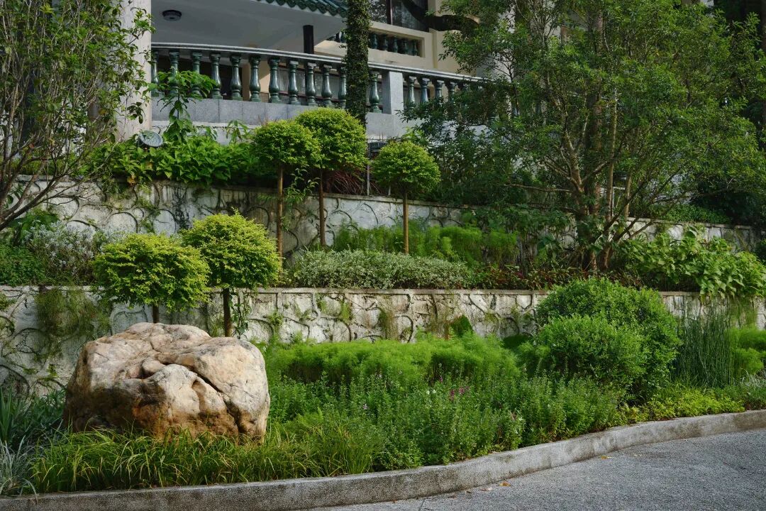 广东温泉宾馆松园一号户外园林景观改造工程丨中国广州-52