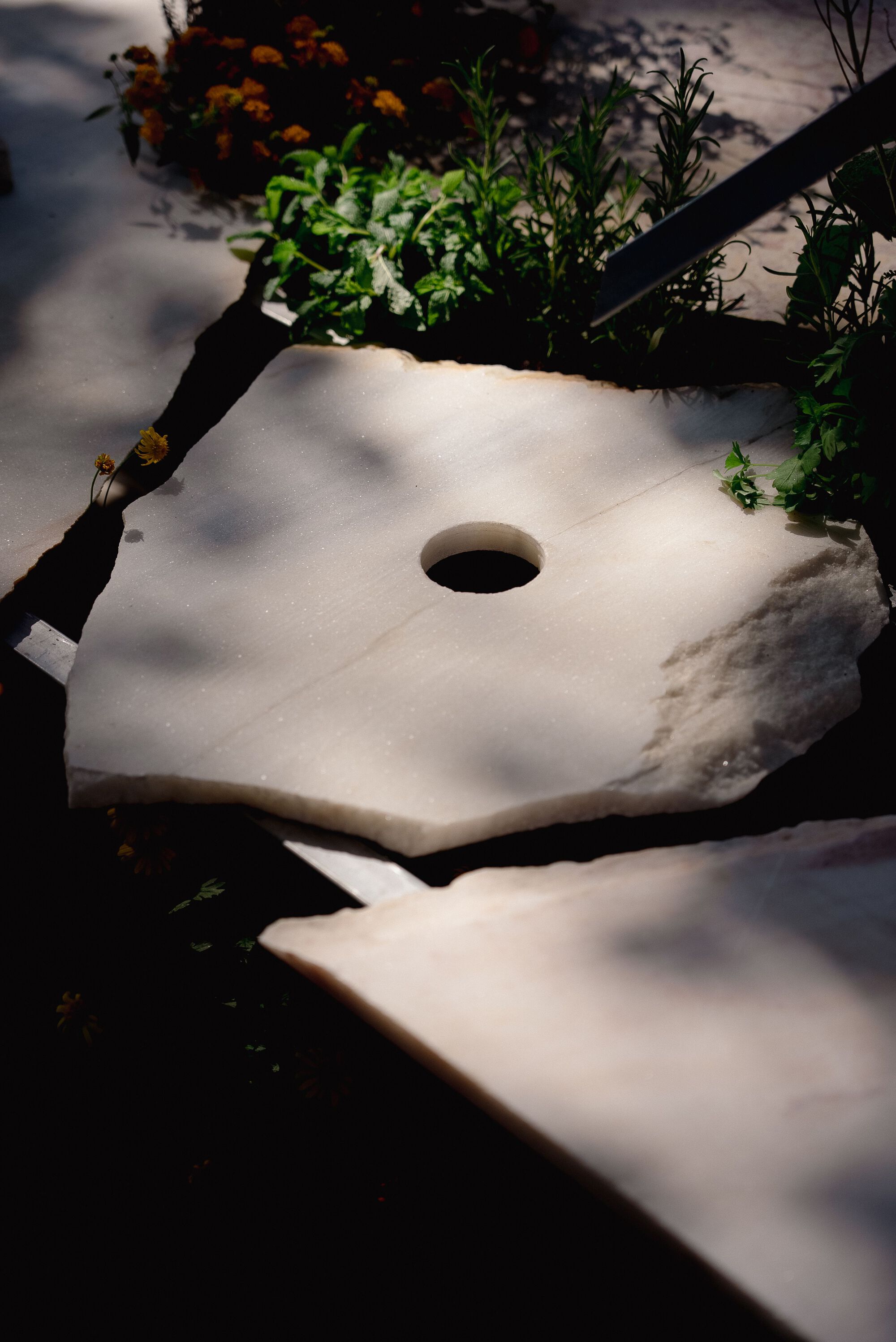 活体多物种厨房丨葡萄牙波尔图丨Fahrenheit Works-16