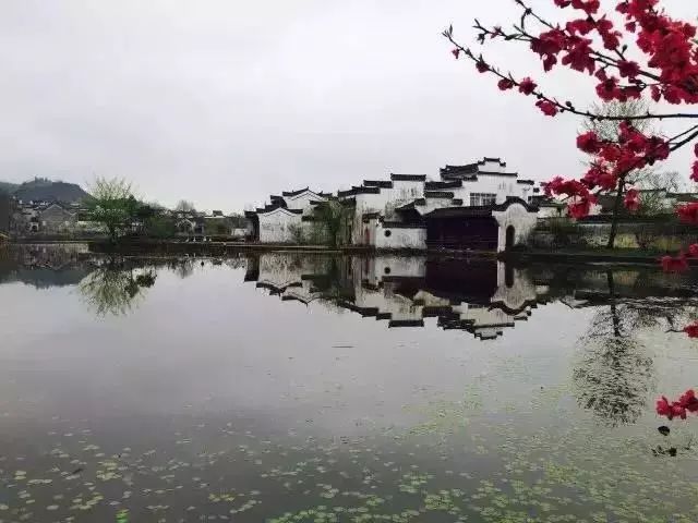 他山之石丨黄山脚下新中式，看汤显祖梦中徽州-5