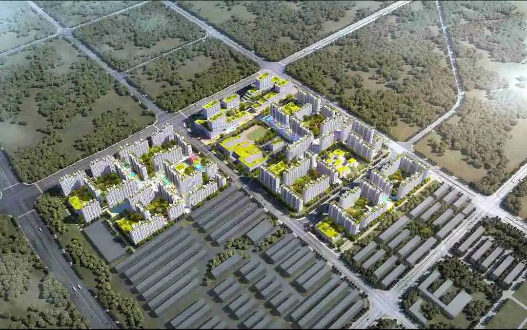 盛裕集团打造海南洋浦绿色生态社区,实现和谐共生-3